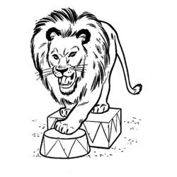 ぬりえページ: ライオン (動物) #10406 - 無料の印刷可能なぬりえページ