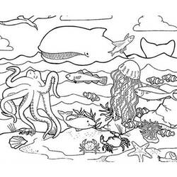 ぬりえページ: 海洋生物 (動物) #21989 - 無料の印刷可能なぬりえページ