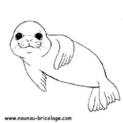 ぬりえページ: 海洋生物 (動物) #21994 - 無料の印刷可能なぬりえページ