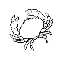 ぬりえページ: 海洋生物 (動物) #21998 - 無料の印刷可能なぬりえページ