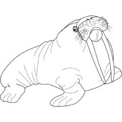 ぬりえページ: 海洋生物 (動物) #22006 - 無料の印刷可能なぬりえページ