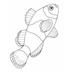 ぬりえページ: 海洋生物 (動物) #22016 - 無料の印刷可能なぬりえページ