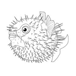 ぬりえページ: 海洋生物 (動物) #22034 - 無料の印刷可能なぬりえページ