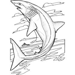 ぬりえページ: 海洋生物 (動物) #22073 - 無料の印刷可能なぬりえページ