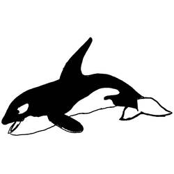 ぬりえページ: 海洋生物 (動物) #22084 - 無料の印刷可能なぬりえページ
