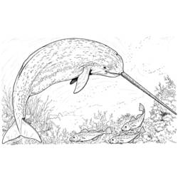 ぬりえページ: 海洋生物 (動物) #22104 - 無料の印刷可能なぬりえページ