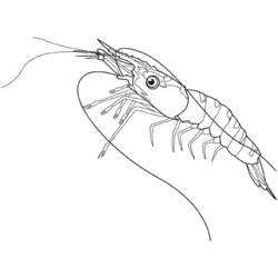 ぬりえページ: 海洋生物 (動物) #22128 - 無料の印刷可能なぬりえページ