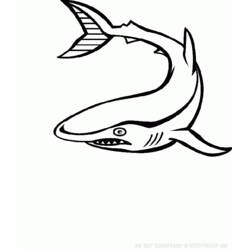 ぬりえページ: 海洋生物 (動物) #22144 - 無料の印刷可能なぬりえページ