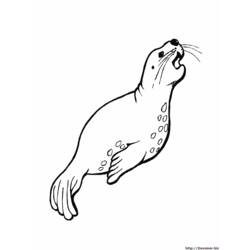 ぬりえページ: 海洋生物 (動物) #22145 - 無料の印刷可能なぬりえページ