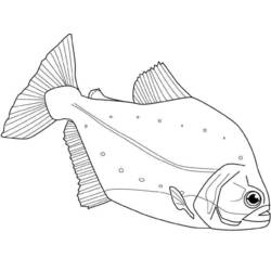 ぬりえページ: 海洋生物 (動物) #22148 - 無料の印刷可能なぬりえページ