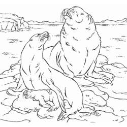 ぬりえページ: 海洋生物 (動物) #22176 - 無料の印刷可能なぬりえページ