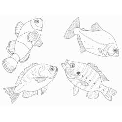ぬりえページ: 海洋生物 (動物) #22222 - 無料の印刷可能なぬりえページ