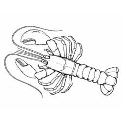 ぬりえページ: 海洋生物 (動物) #22230 - 無料の印刷可能なぬりえページ