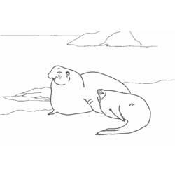 ぬりえページ: 海洋生物 (動物) #22234 - 無料の印刷可能なぬりえページ