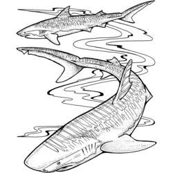 ぬりえページ: 海洋生物 (動物) #22244 - 無料の印刷可能なぬりえページ