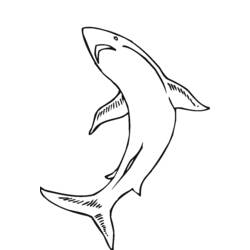 ぬりえページ: 海洋生物 (動物) #22255 - 無料の印刷可能なぬりえページ
