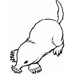 ぬりえページ: モル (動物) #19383 - 無料の印刷可能なぬりえページ