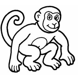 ぬりえページ: 猿 (動物) #14144 - 無料の印刷可能なぬりえページ