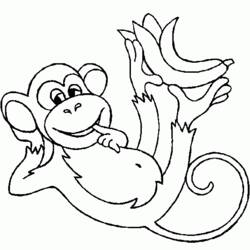 ぬりえページ: 猿 (動物) #14145 - 無料の印刷可能なぬりえページ