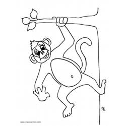 ぬりえページ: 猿 (動物) #14155 - 無料の印刷可能なぬりえページ