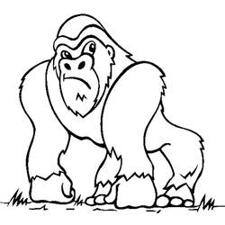 ぬりえページ: 猿 (動物) #14163 - 無料の印刷可能なぬりえページ