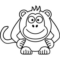 ぬりえページ: 猿 (動物) #14165 - 無料の印刷可能なぬりえページ