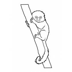 ぬりえページ: 猿 (動物) #14168 - 無料の印刷可能なぬりえページ