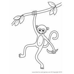 ぬりえページ: 猿 (動物) #14184 - 無料の印刷可能なぬりえページ
