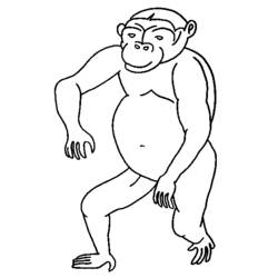 ぬりえページ: 猿 (動物) #14187 - 無料の印刷可能なぬりえページ