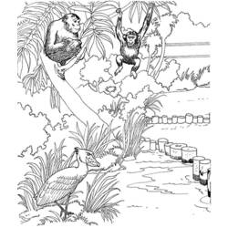 ぬりえページ: 猿 (動物) #14206 - 無料の印刷可能なぬりえページ