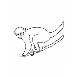 ぬりえページ: 猿 (動物) #14225 - 無料の印刷可能なぬりえページ
