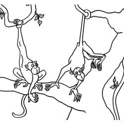 ぬりえページ: 猿 (動物) #14232 - 無料の印刷可能なぬりえページ