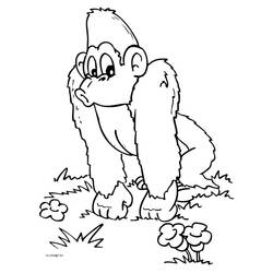 ぬりえページ: 猿 (動物) #14242 - 無料の印刷可能なぬりえページ