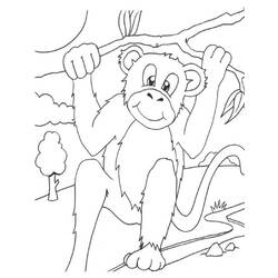 ぬりえページ: 猿 (動物) #14252 - 無料の印刷可能なぬりえページ