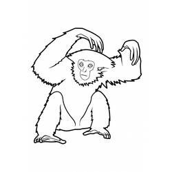 ぬりえページ: 猿 (動物) #14261 - 無料の印刷可能なぬりえページ