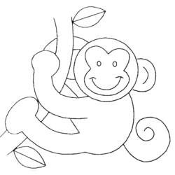 ぬりえページ: 猿 (動物) #14276 - 無料の印刷可能なぬりえページ