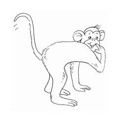 ぬりえページ: 猿 (動物) #14278 - 無料の印刷可能なぬりえページ