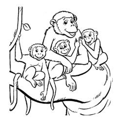 ぬりえページ: 猿 (動物) #14290 - 無料の印刷可能なぬりえページ