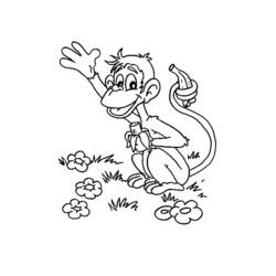 ぬりえページ: 猿 (動物) #14300 - 無料の印刷可能なぬりえページ