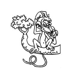 ぬりえページ: 猿 (動物) #14327 - 無料の印刷可能なぬりえページ
