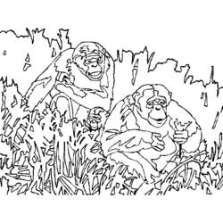 ぬりえページ: 猿 (動物) #14331 - 無料の印刷可能なぬりえページ