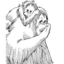 ぬりえページ: 猿 (動物) #14333 - 無料の印刷可能なぬりえページ