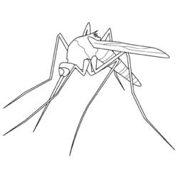 ぬりえページ: 蚊 (動物) #11320 - 無料の印刷可能なぬりえページ