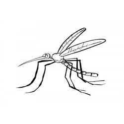ぬりえページ: 蚊 (動物) #11322 - 無料の印刷可能なぬりえページ