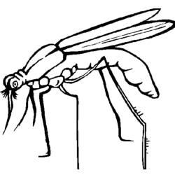 ぬりえページ: 蚊 (動物) #11324 - 無料の印刷可能なぬりえページ