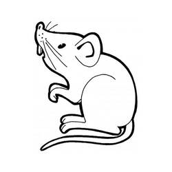 ぬりえページ: マウス (動物) #13937 - 無料の印刷可能なぬりえページ