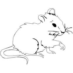 ぬりえページ: マウス (動物) #13943 - 無料の印刷可能なぬりえページ