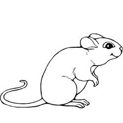 ぬりえページ: マウス (動物) #13947 - 無料の印刷可能なぬりえページ