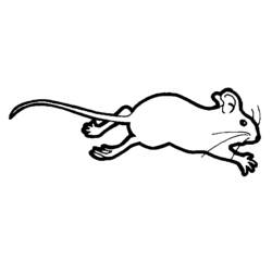 ぬりえページ: マウス (動物) #13985 - 無料の印刷可能なぬりえページ