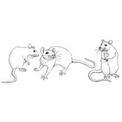 ぬりえページ: マウス (動物) #14056 - 無料の印刷可能なぬりえページ